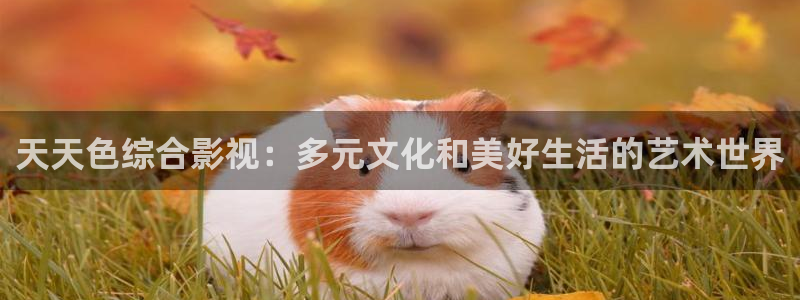 桔子影院高清自拍：天天色综合影视：多元文化和美好生活的艺术世界