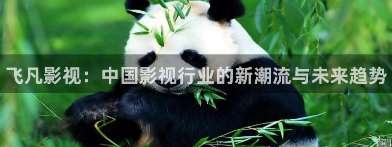 桔子影院在线观看