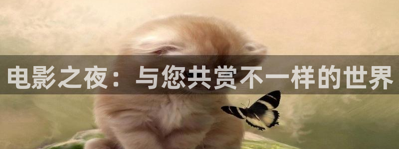 桔子.com：电影之夜：与您共赏不一样的世界