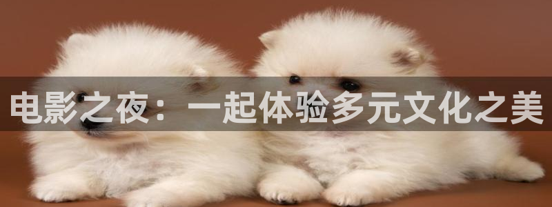 桔子影视剧大全免费观看：电影之夜：一起体验多元文化之美